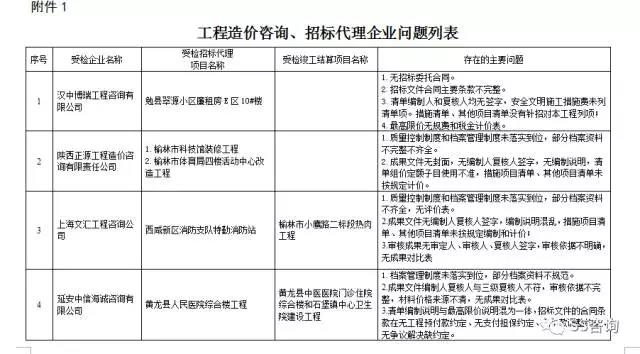 工程造價咨詢、招標(biāo)代理企業(yè)問題列表